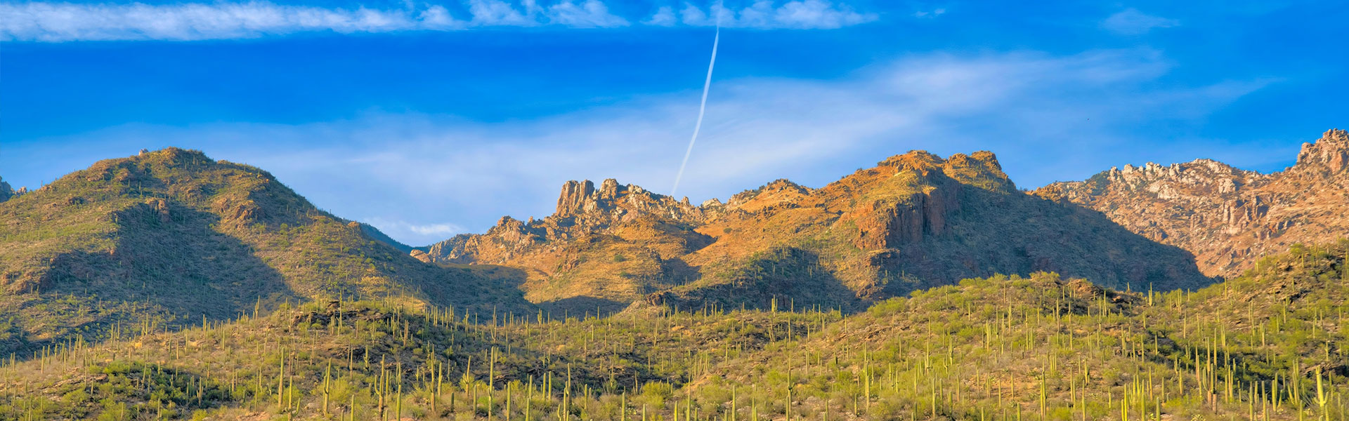Flights to Tucson