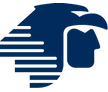 airline logo