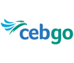 airline logo