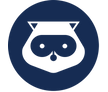 airline logo