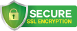 secure icon