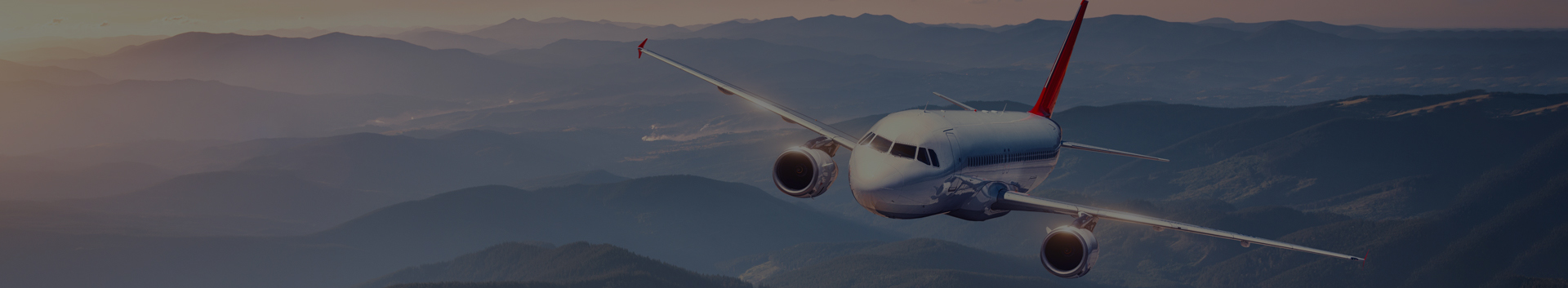 senior citizen flights image